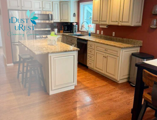 DIY Cleaning Kits vs. Professional Supplies: What Delivers Better Results?