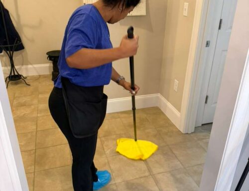 Disinfecting Myths in Shared Workspaces: What Really Works?