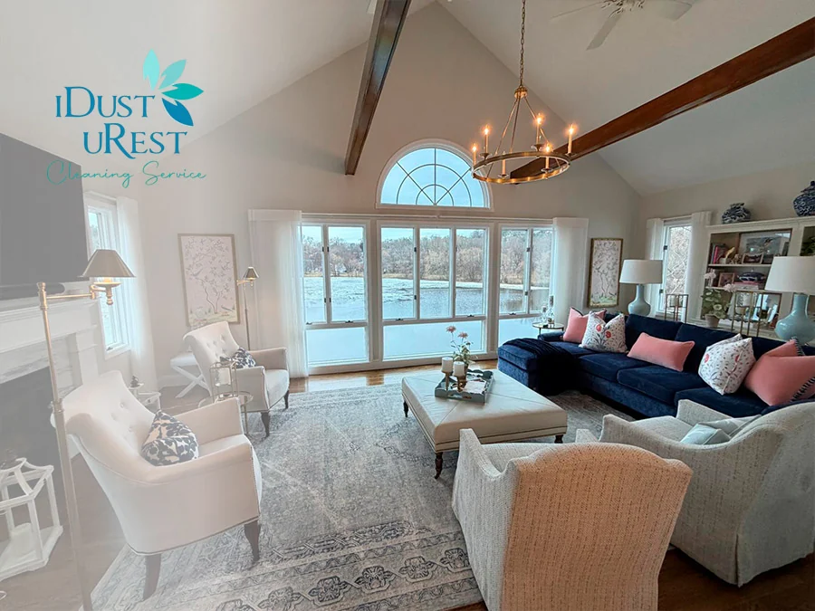 Professional living room cleaning