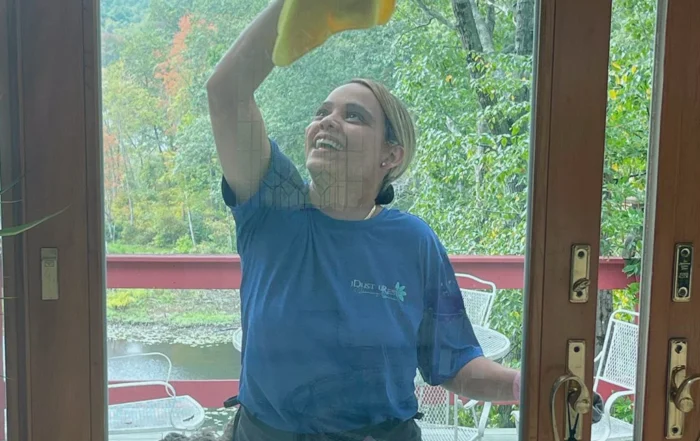 Services residential cleaning